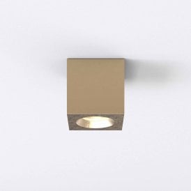 Astro Kos Square Single Light Outdoor Coastal Ceiling Fitting In Natural Brass Finish