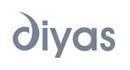 Diyas Kudo Crystal Ceiling Light Shade in Polished Chrome Finish