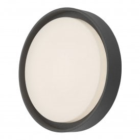 Dar Ralph Large Integrated LED Outdoor Wall or Ceiling Fitting in Anthracite Finish