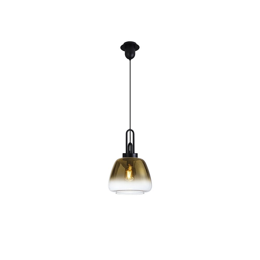 Single Light Carolynn Single Ceiling Pendant Light In Matt Black Finish with Gold ...