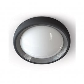 Edit 13W LED Coastal Outdoor Flush Fitting In Dark Grey Finish