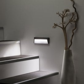 Edit Chester Cool White LED Outdoor Wall Light in Grey Finish