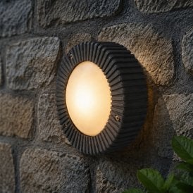 Edit Coastal Cowrie Outdoor Flush Wall Light - Anthracite