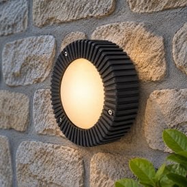Edit Coastal Cowrie Outdoor Flush Wall Light - Black