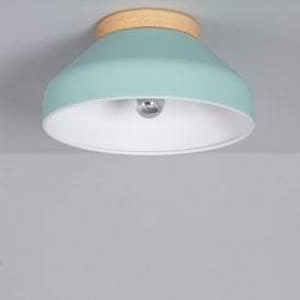 Edit Hakon Single Light Flush Ceiling Fitting In Mint Green And Wood Finish