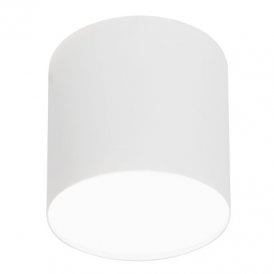 Edit Point Plexi Ceiling Spotlight In White Finish