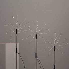 Edit Set of 3 Dandelion LED Spikes with Solar Charger