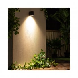 Miseno Outdoor Single Light Wall Fitting in Black Finish