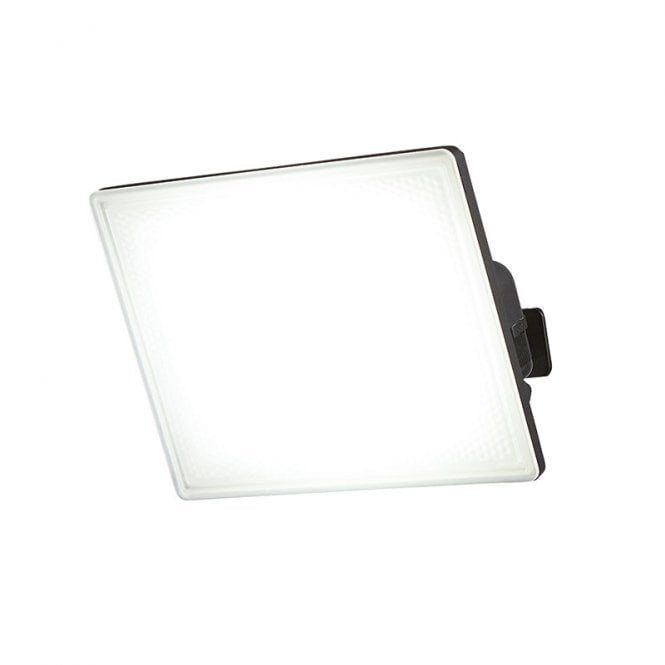 Forum Lighting Visby 30W Cool White LED Floodlight In Black Finish