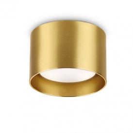 Ike Single Light Flush Ceiling Fitting in Brushed Brass Finish