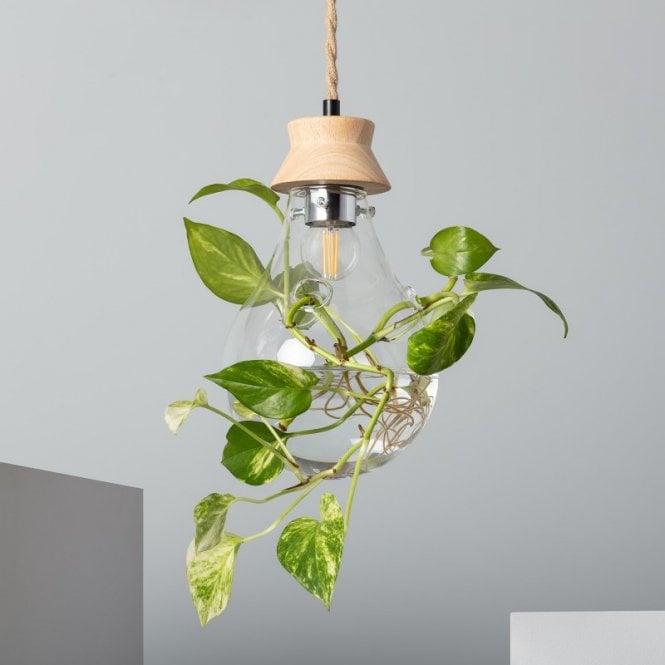 Iluzzia  Kathu Single Light Ceiling Pendant With Clear Glass Shade And Wood Detail