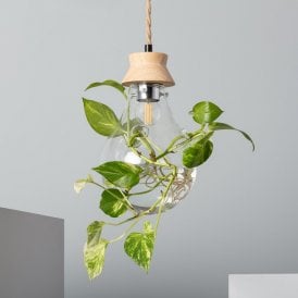 Iluzzia Kathu Single Light Ceiling Pendant With Clear Glass Shade And Wood Detail