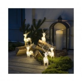 Set Of 5 Reindeer LED String Lights