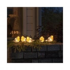 Set Of 5 Robin LED Outdoor String Lights