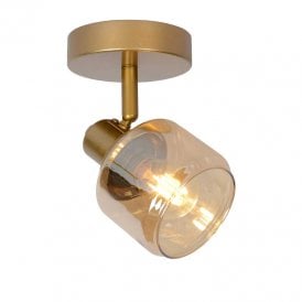 Bjorn Single Light Ceiling Plate Spotlight Fitting in Matt Gold Finish with Champagne Glass Shade