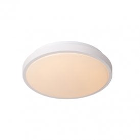 Dasher 293 LED Flush Bathroom Light - White