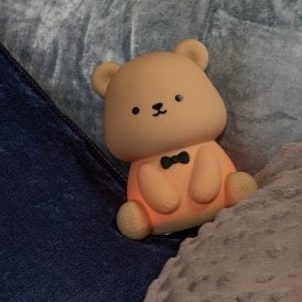 Lucide Pincha Bear USB Rechargeable LED Touch Table Lamp - Brown