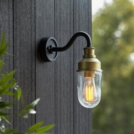 Delilah Outdoor Wall Lantern - Brushed Gold