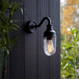 Delilah Outdoor Wall Lantern - Matt Black